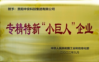 國(guó)家級(jí)專精特新“小巨人”企業(yè) 